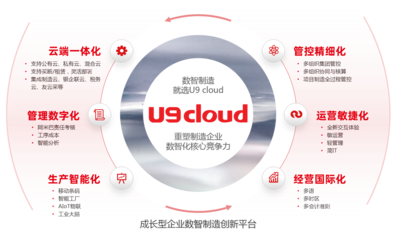 軟件產(chǎn)品的互聯(lián)網(wǎng)銷售 策略、優(yōu)勢與挑戰(zhàn)